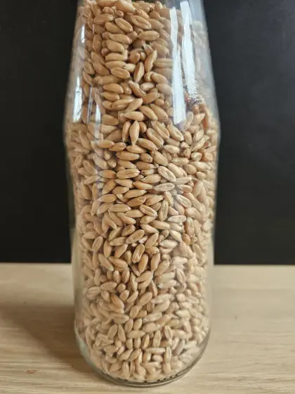 Bio-Dinkel 1.000 kg