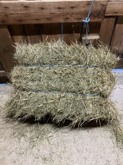 Kleine Heuballen