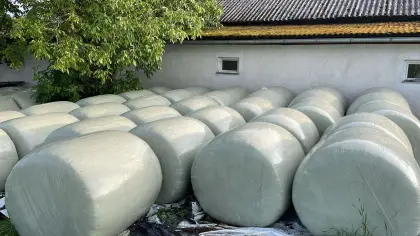 Maisballen 2025