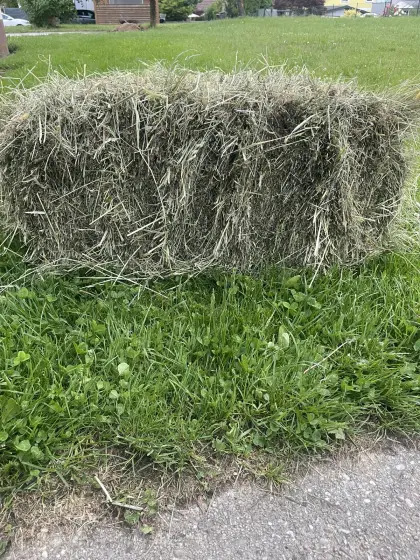 Kleine Heuballen