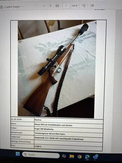 Waffe, Blaser R93 mit Schalldämpfer und Stecher