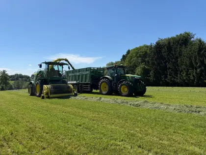 Mais, Gras, Stroh häckseln