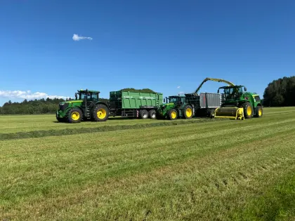 Mais, Gras, Stroh häckseln
