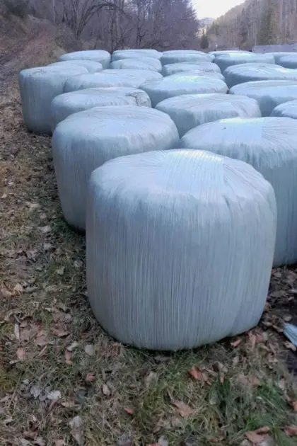 Bio-Siloballen