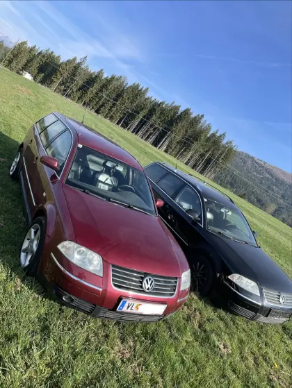 VW Passat 1.9 TDI 4Motion + Schlachter (3BG)