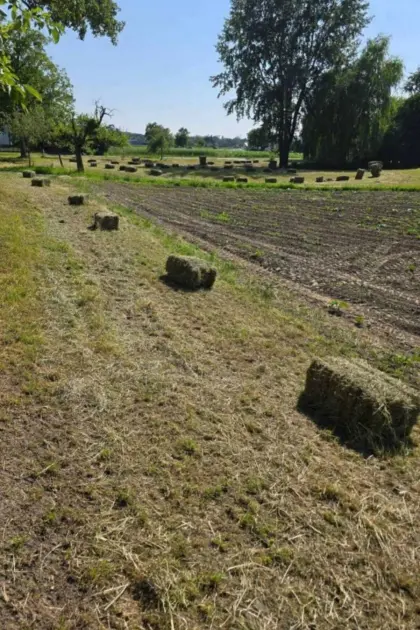 Heu 2025