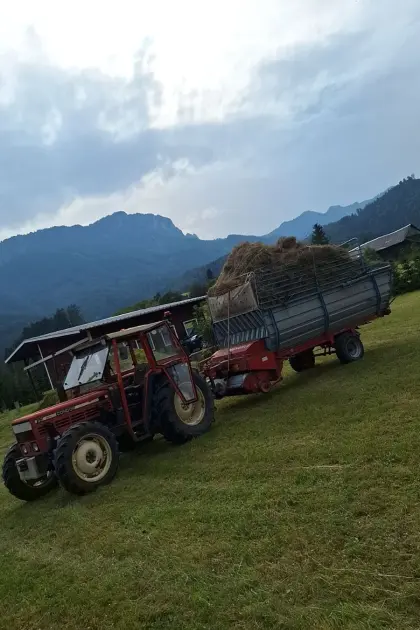 Mengele Ladewagen LW 20