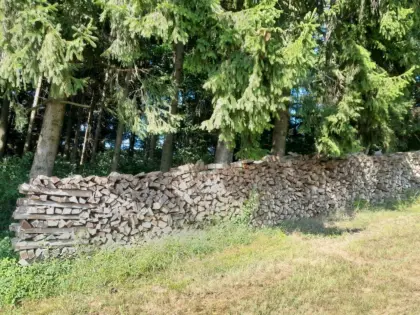 Brennholz
