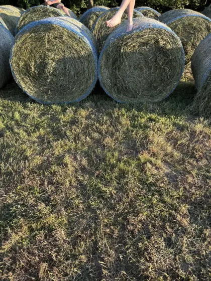 Siloballen