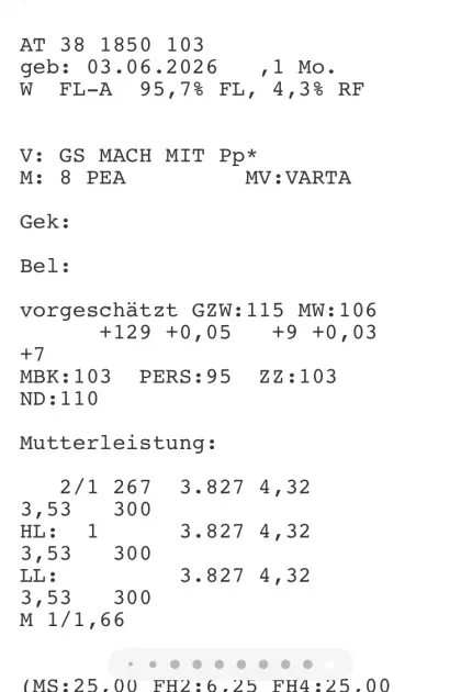 Bio-Zuchtkälber