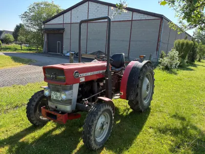 MF 133 Massey Ferguson Traktor Oldtimer 2.141 Bstd.