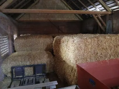 Strohpacken (Gerste)