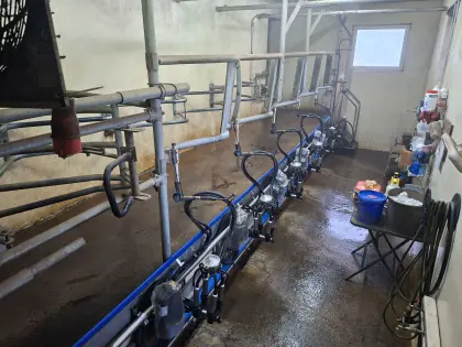 DeLaval Melkstand und Milchtank