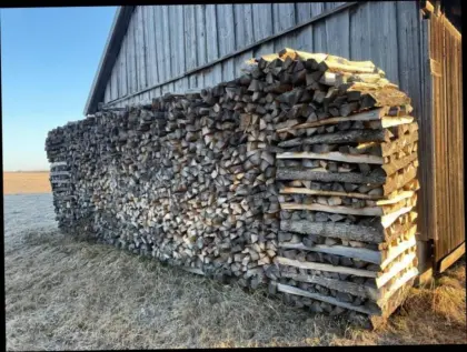 Brennholz