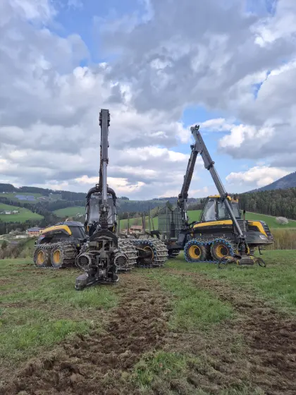 Holzschlägerung und Bringung