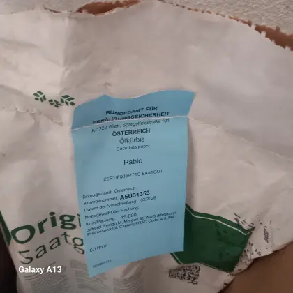 Ölkürbis Palo