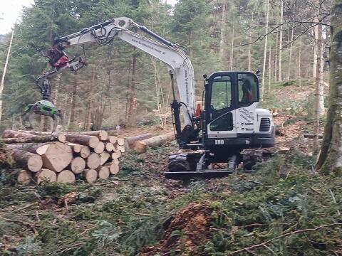 Bobcat E80
