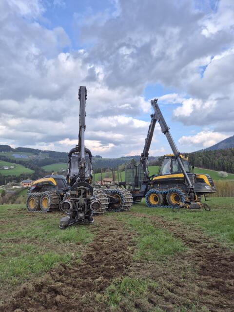 Holzschlägerung und Bringung