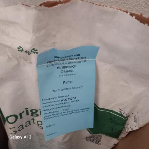 Ölkürbis Palo