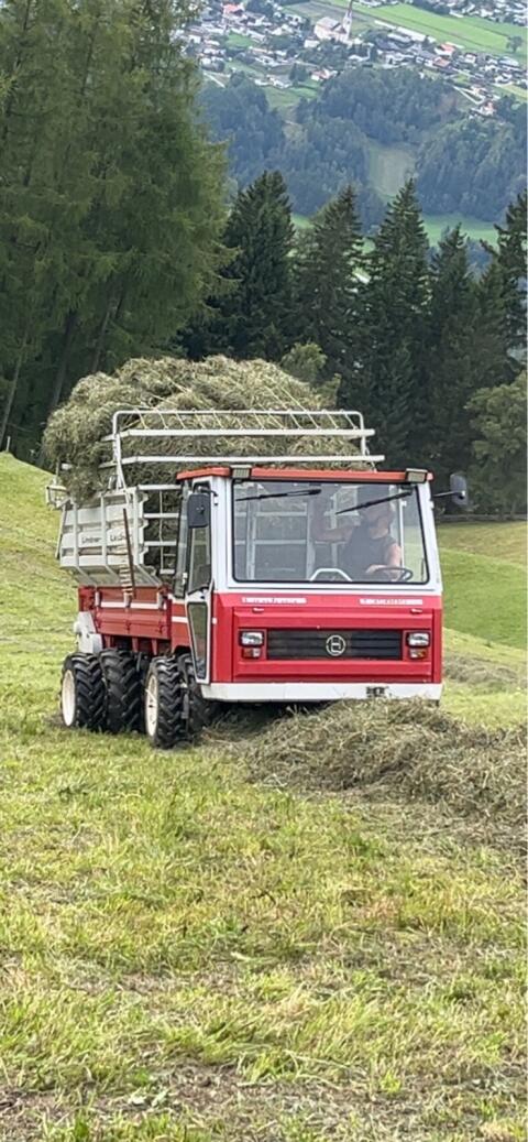 Lindner T3500S50 zu verkaufen