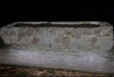 Trog aus Beton, Blumentrog