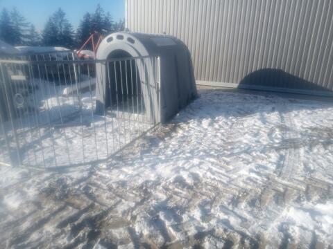 Verkaufe Kälberiglu
