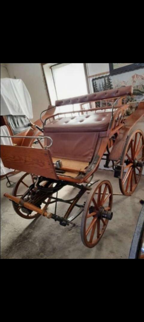 Rehbock, Steirerwagerl, Wagonette, Landauer, Sattel, Zaumzeug, Leder