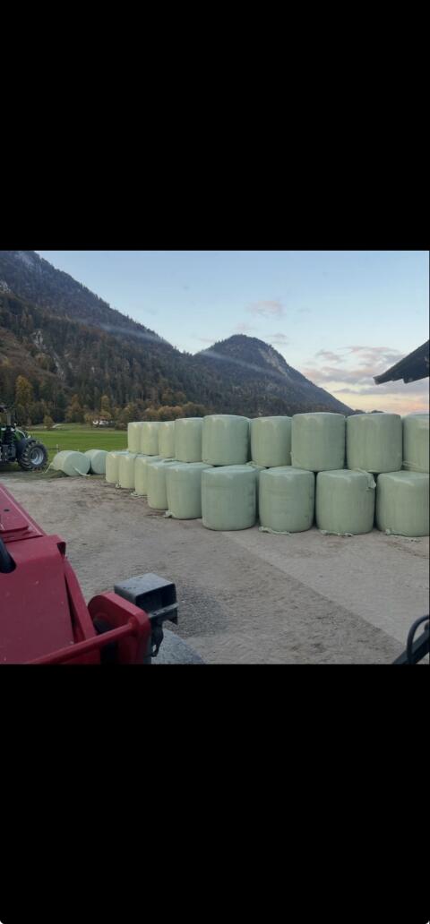 Maisballen