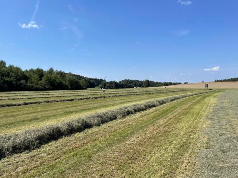 Heuballen