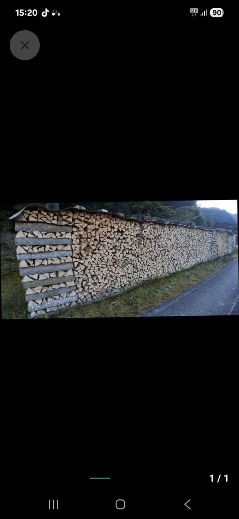 Buchen-Brennholz