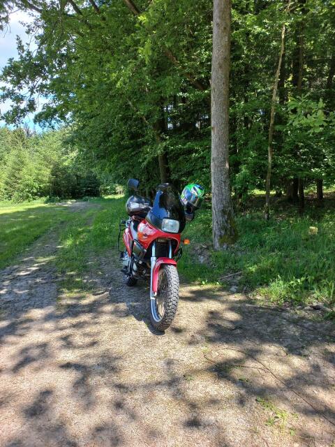 BMW F650