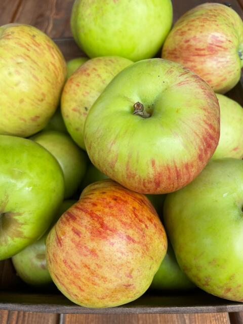 Grafensteiner Äpfel ab