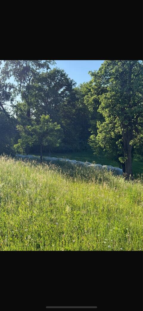 Silageballen