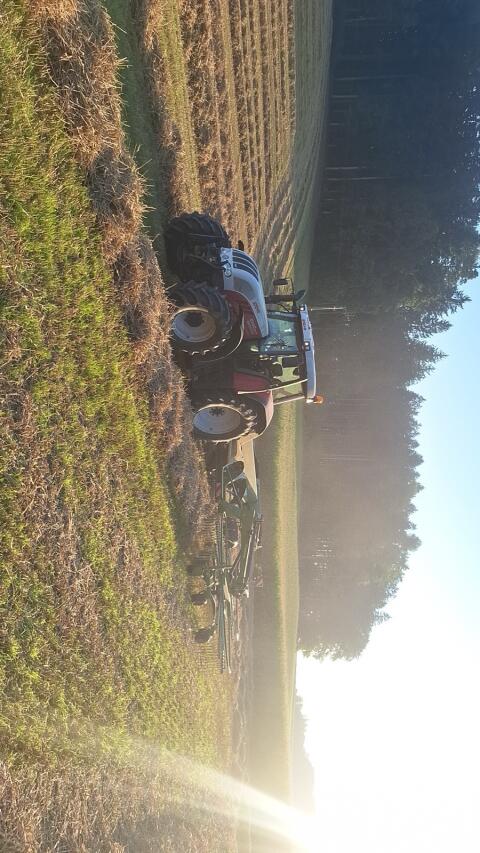 Suche Stroh ab Feld