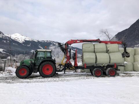 Penz Kran 10Z mit Rückewagen