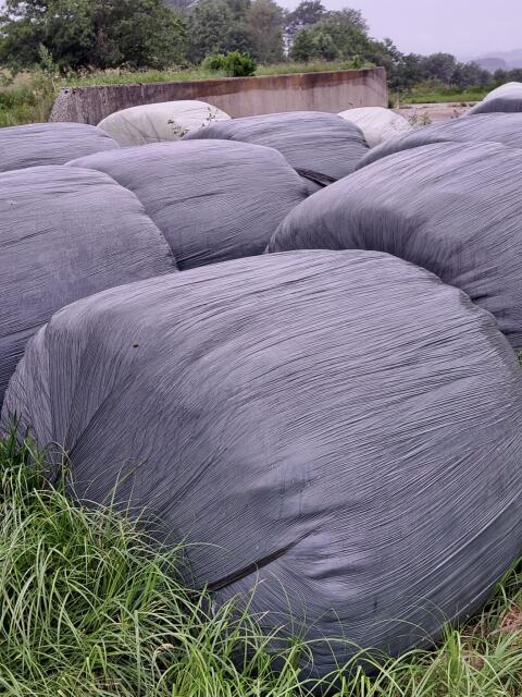 Siloballen