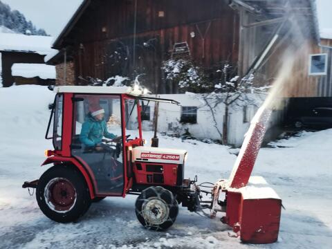 Gutbrod 4250H