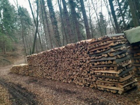 Brennholz