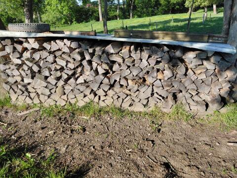 Brennholz Esche