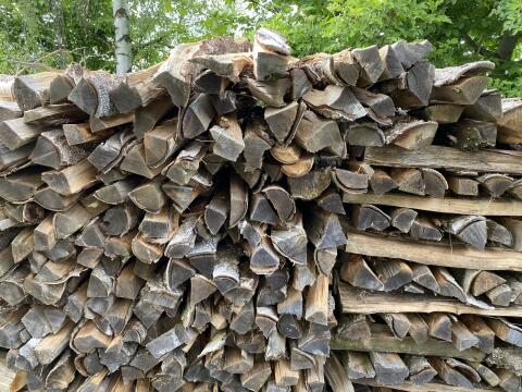 Brennholz Birke