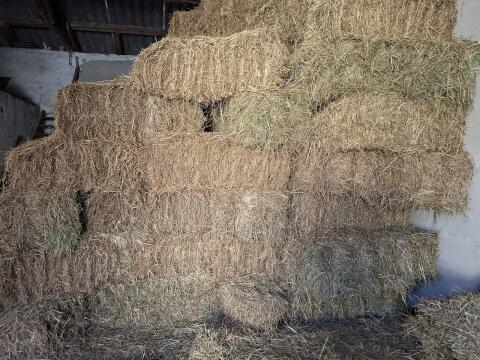 Kleinballen 1. u. 2. Schnitt