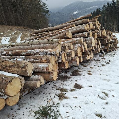 Holz auf Stamm