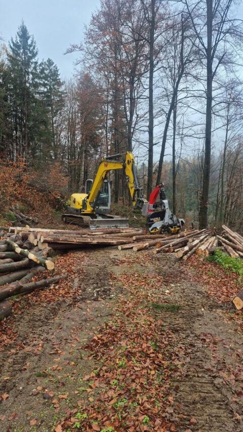Baggerprozessor Wacker Neuson ET 90