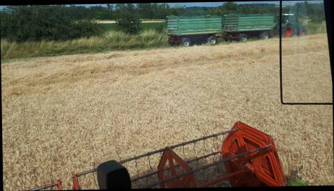 Suche Stroh ab Feld