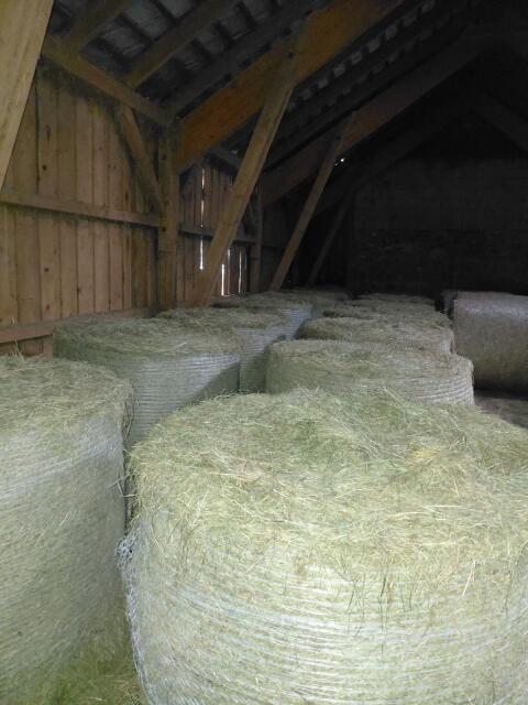 Grummet Rundballen 18 Stk.