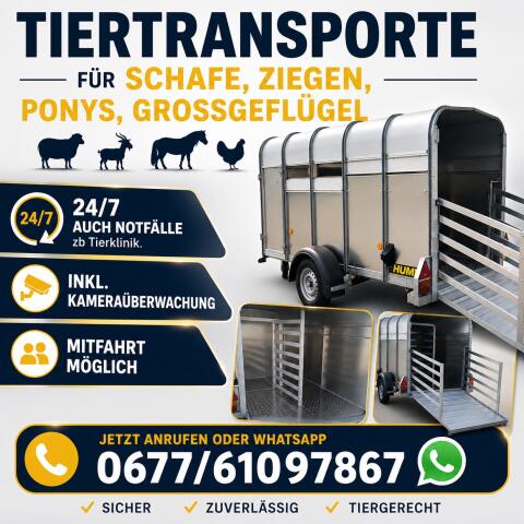 Tiertransporte 24/7, Schafe, Ziegen, Ponys und Großgeflügel