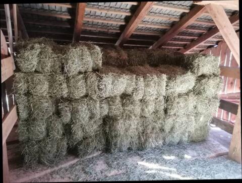 Verkaufe Kleinheuballen ca. 18 kg