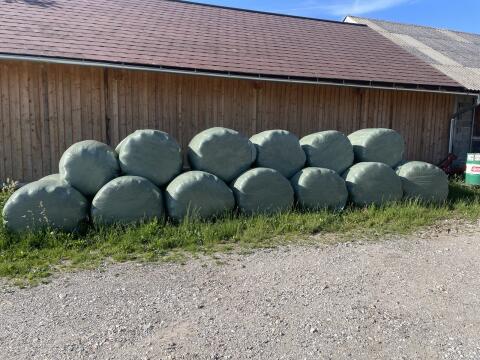 Silageballen 20 Stk.