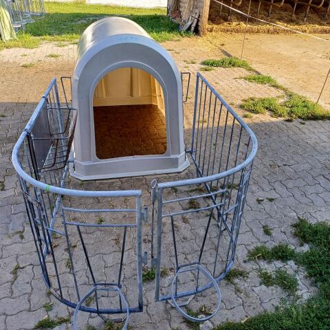 Kälberiglu