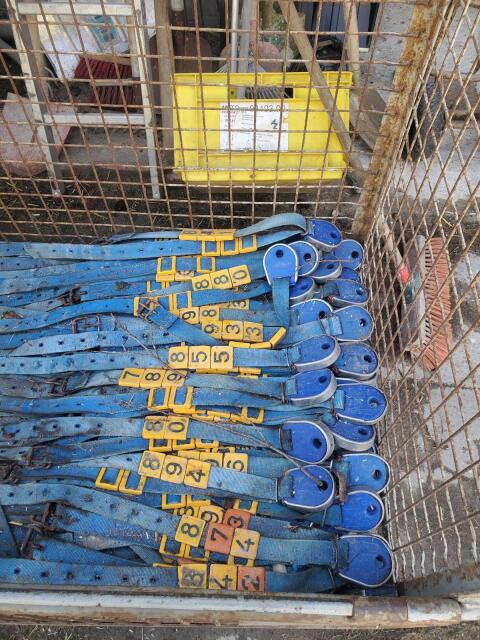 Delaval Transponder
